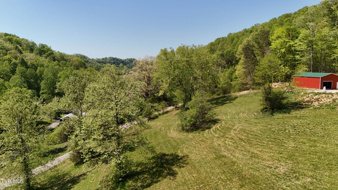Photo #28: Tbd Swinging Bridge Road