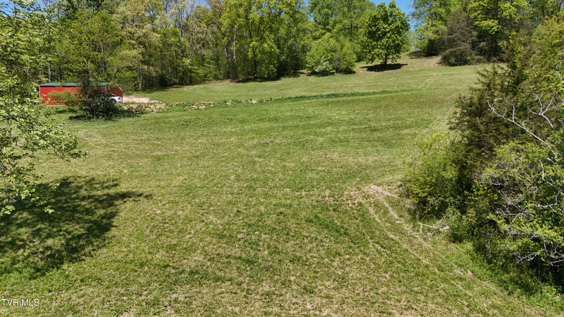 Photo #29: Tbd Swinging Bridge Road