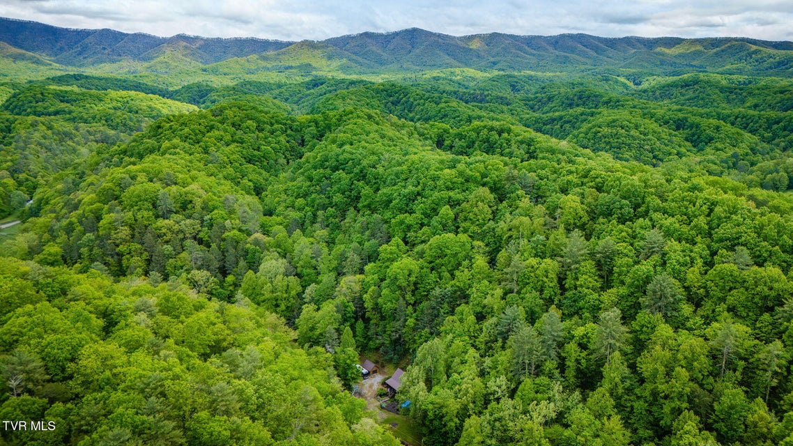 Photo #38: 556 Underwood Springs Branch Road