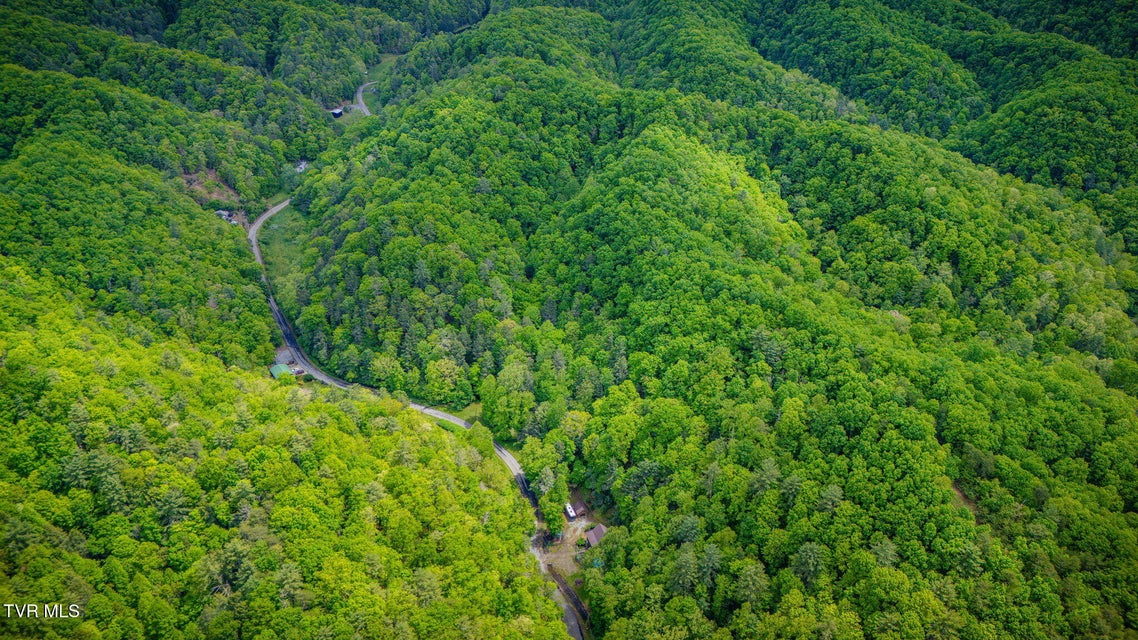 Photo #39: 556 Underwood Springs Branch Road