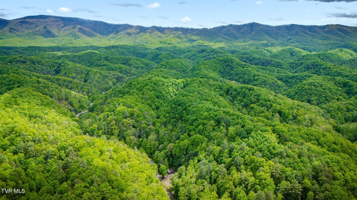 Photo #40: 556 Underwood Springs Branch Road