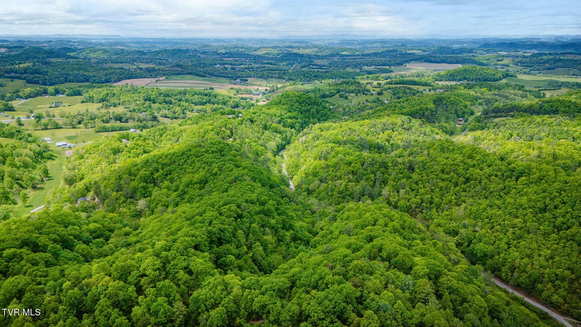 Photo #41: 556 Underwood Springs Branch Road