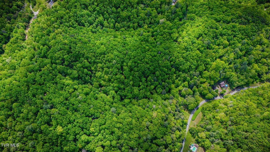 Photo #42: 556 Underwood Springs Branch Road