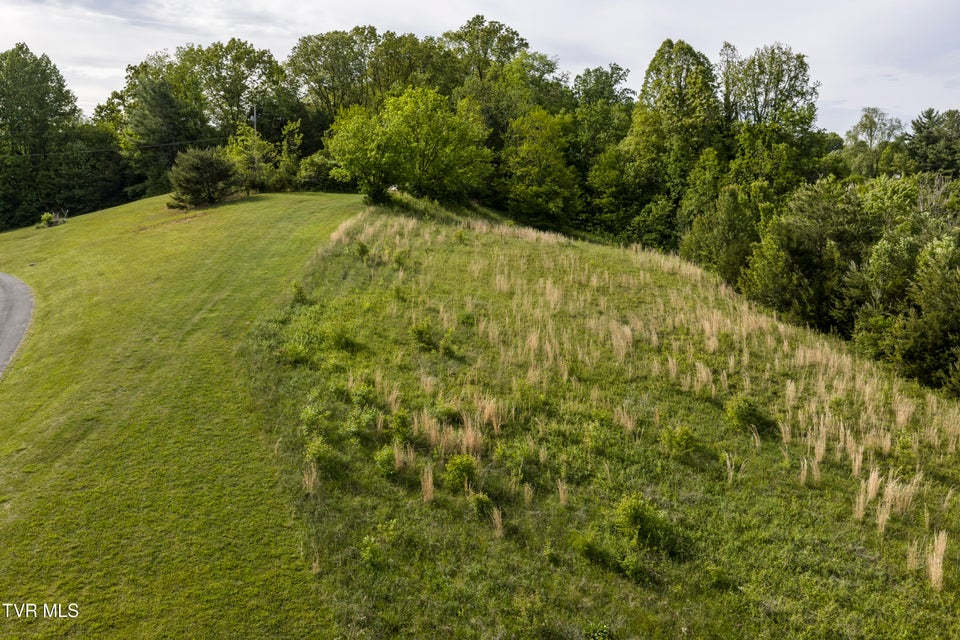 Photo #2: Tbd Old Lewis Road