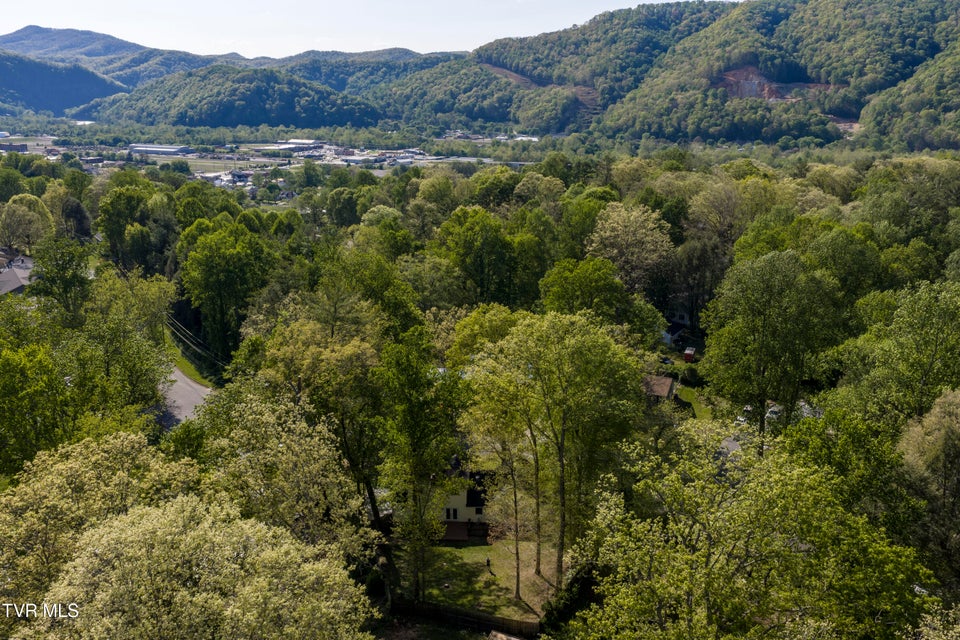 Photo #66: 802 Chestnut Avenue