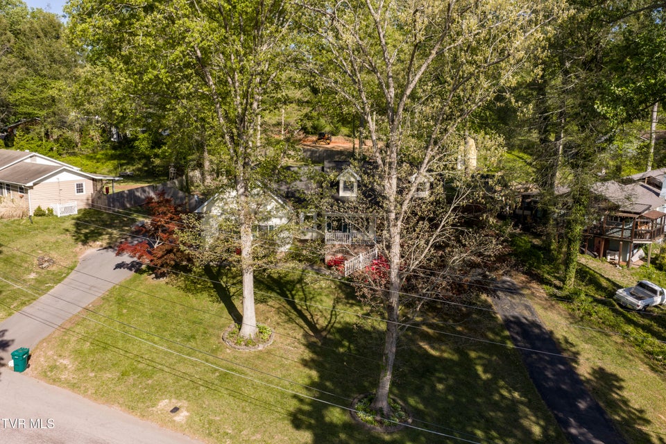 Photo #70: 802 Chestnut Avenue