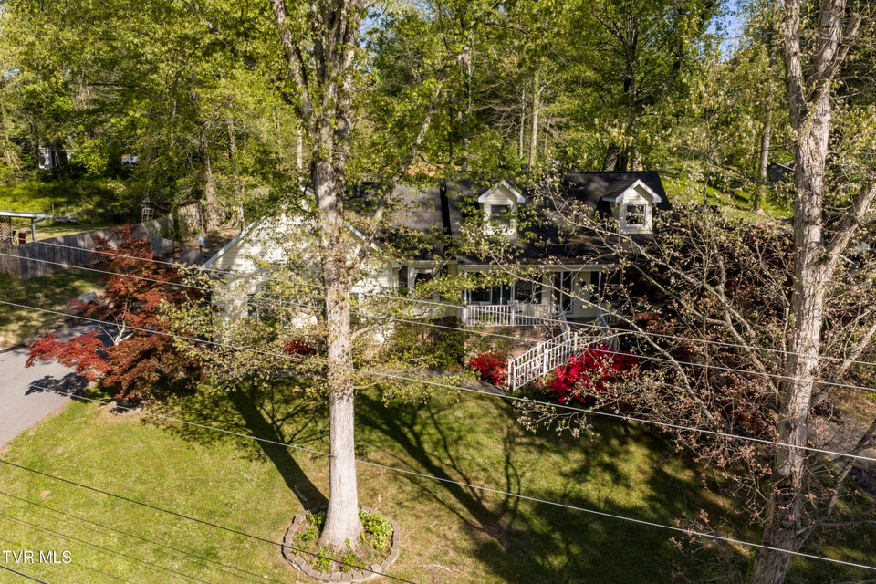 Photo #71: 802 Chestnut Avenue