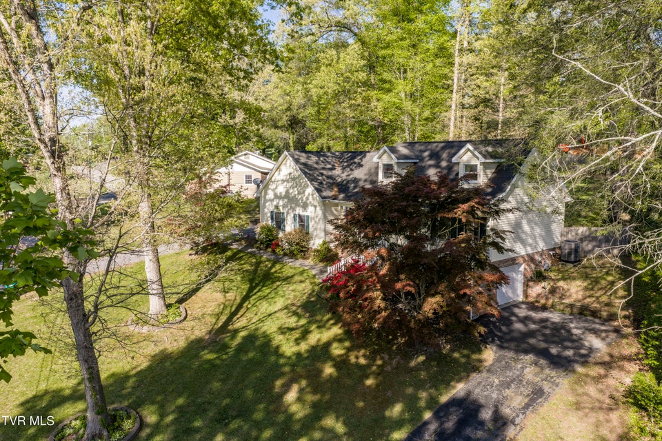 Photo #73: 802 Chestnut Avenue