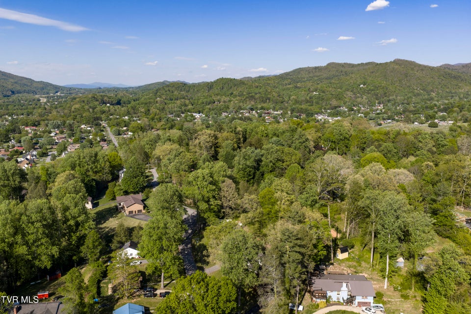 Photo #74: 802 Chestnut Avenue