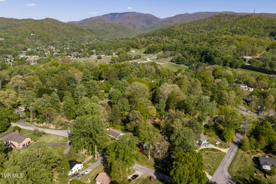 Photo #75: 802 Chestnut Avenue