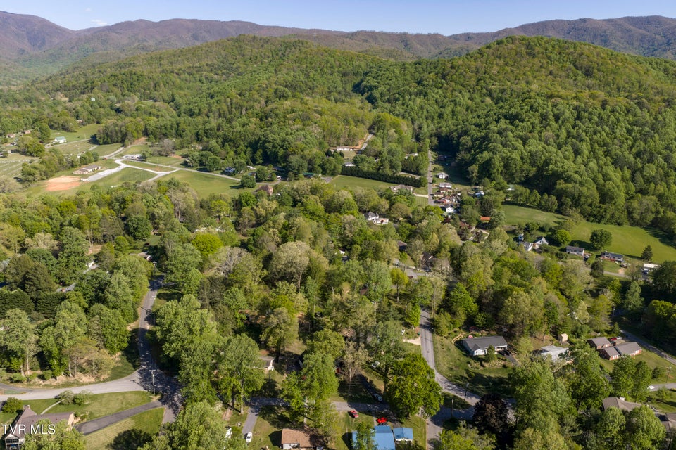 Photo #76: 802 Chestnut Avenue