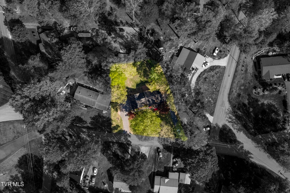 Photo #78: 802 Chestnut Avenue