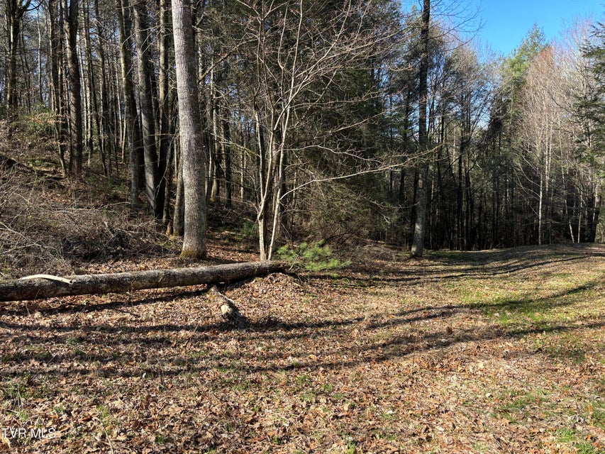 Photo #2: 445 Possum Valley Road