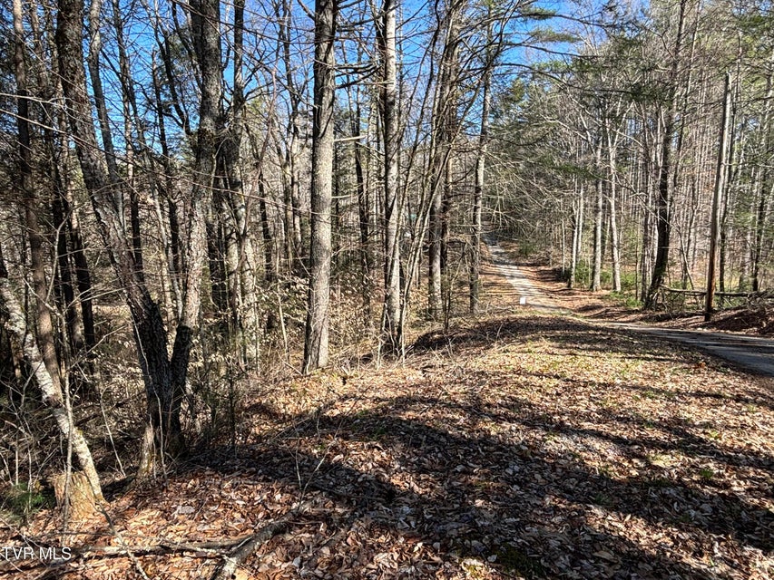 Photo #4: 445 Possum Valley Road