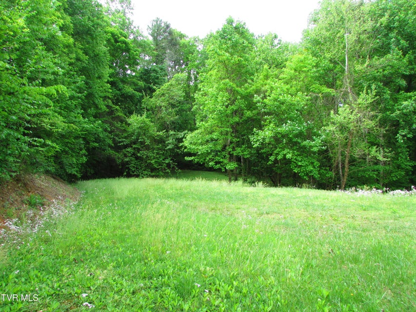 Photo #11: 145 Hillrise Drive