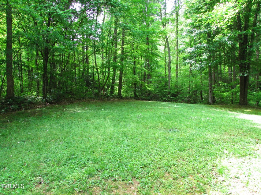 Photo #12: 145 Hillrise Drive