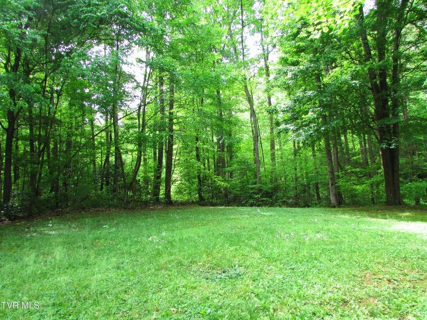 Photo #13: 145 Hillrise Drive