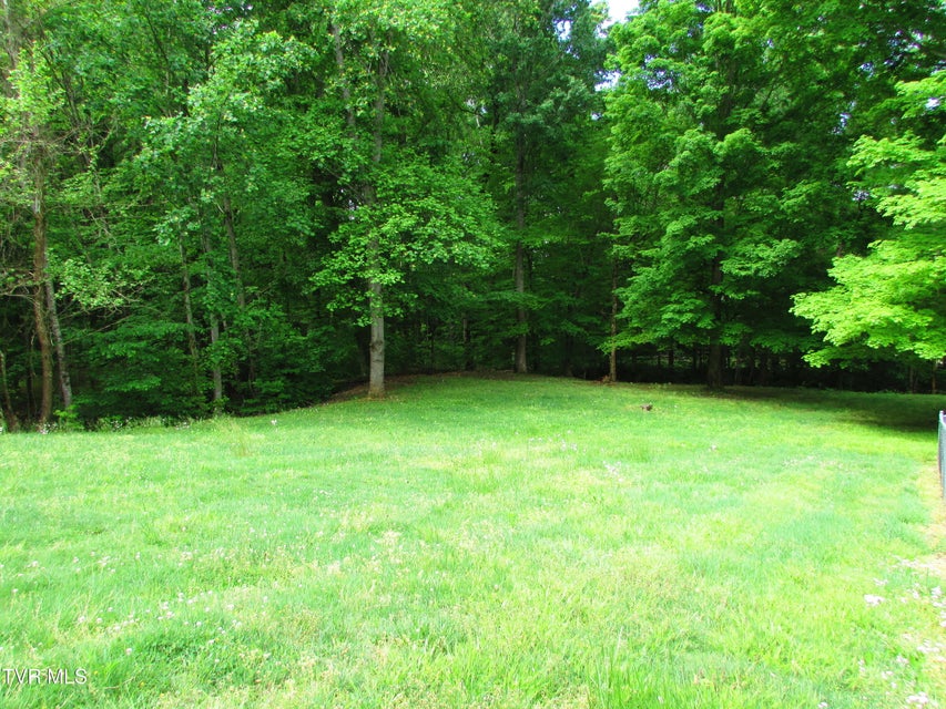 Photo #18: 145 Hillrise Drive