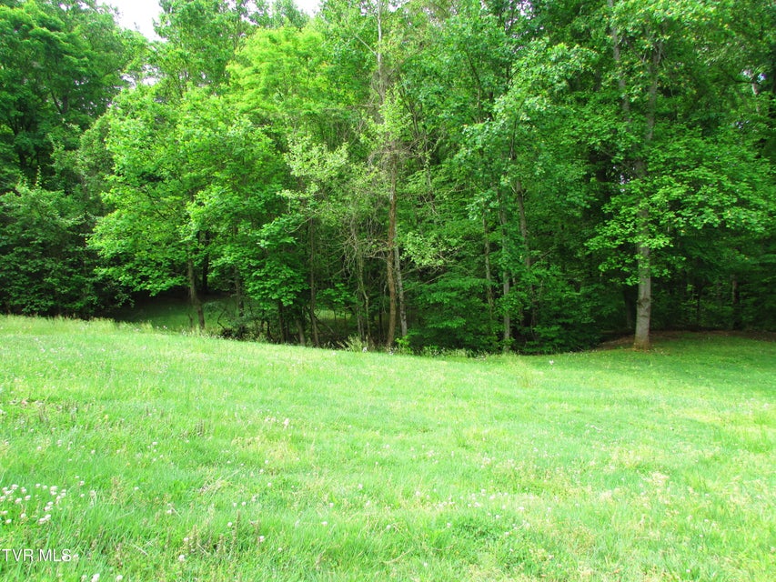 Photo #19: 145 Hillrise Drive