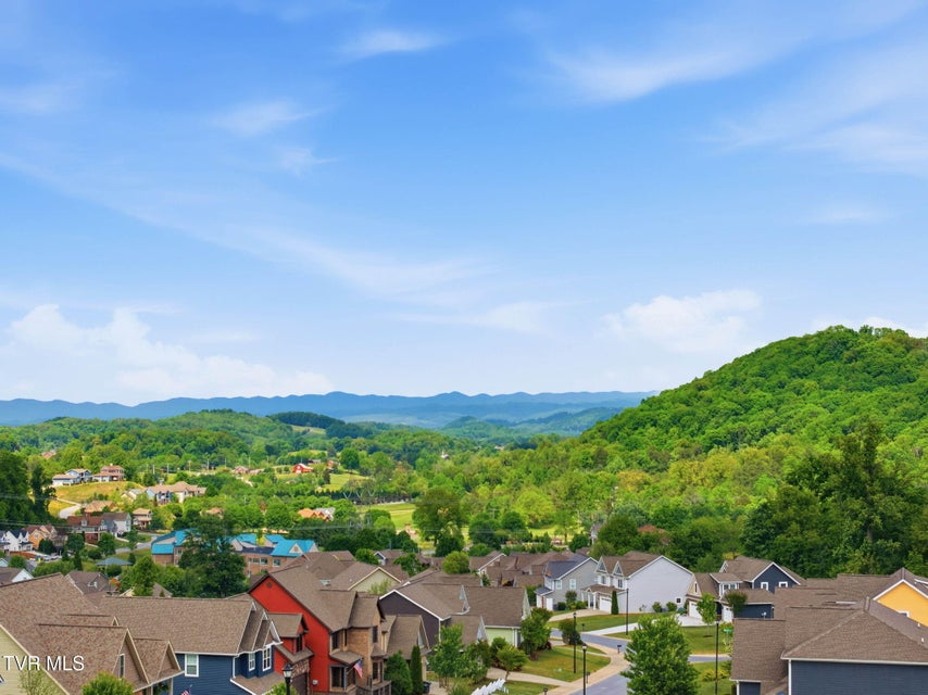 Photo #52: 3069 Calton Hill