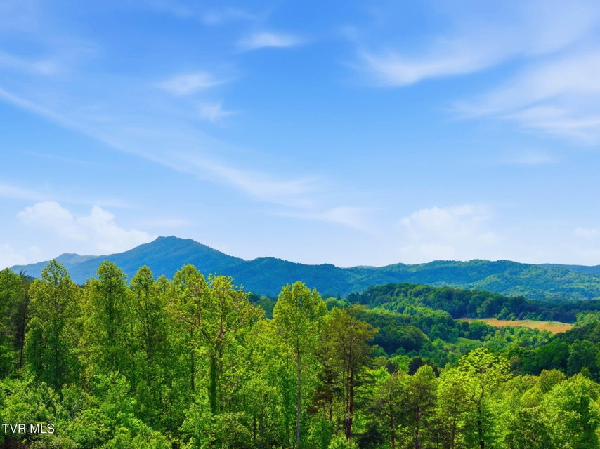 Photo #53: 3069 Calton Hill