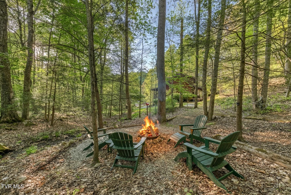 Photo #52: 371 Tiger Creek Road