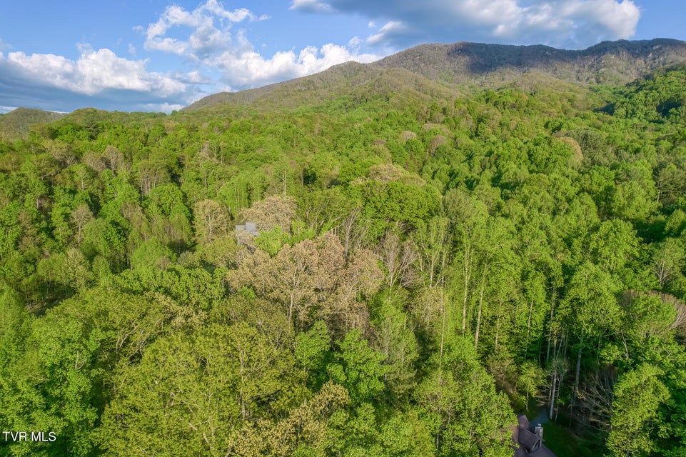 Photo #81: 371 Tiger Creek Road