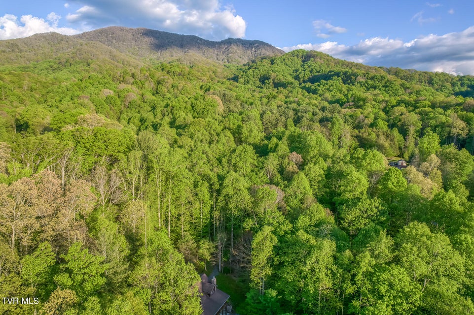 Photo #87: 371 Tiger Creek Road