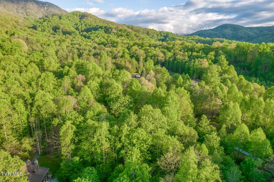 Photo #97: 371 Tiger Creek Road