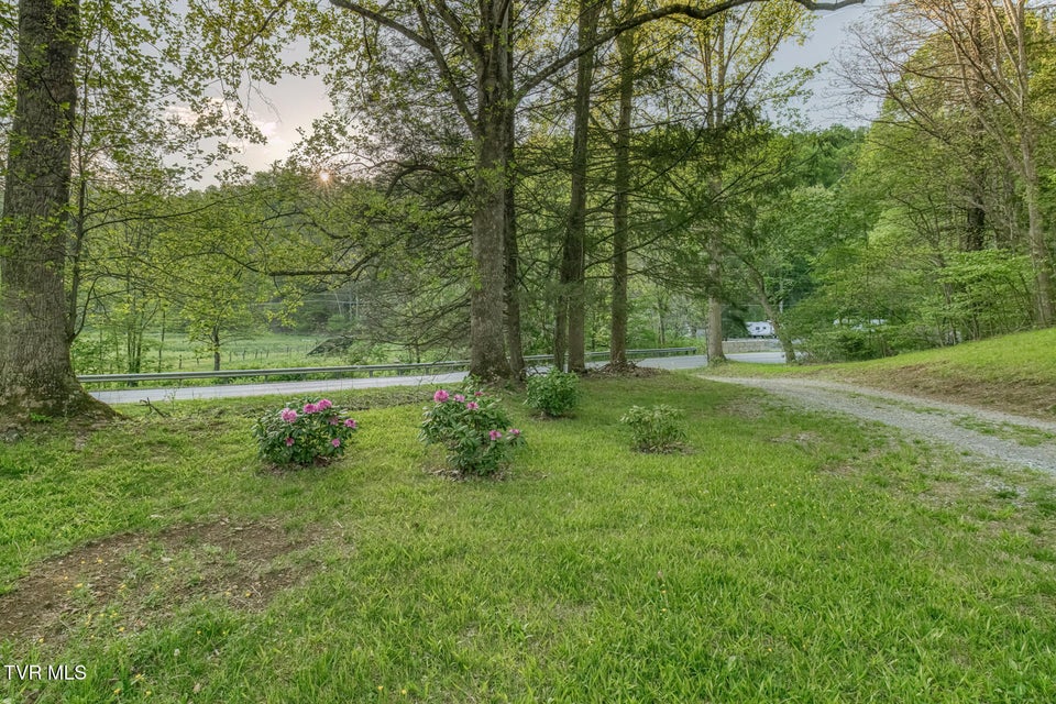 Photo #86: 371 Tiger Creek Road