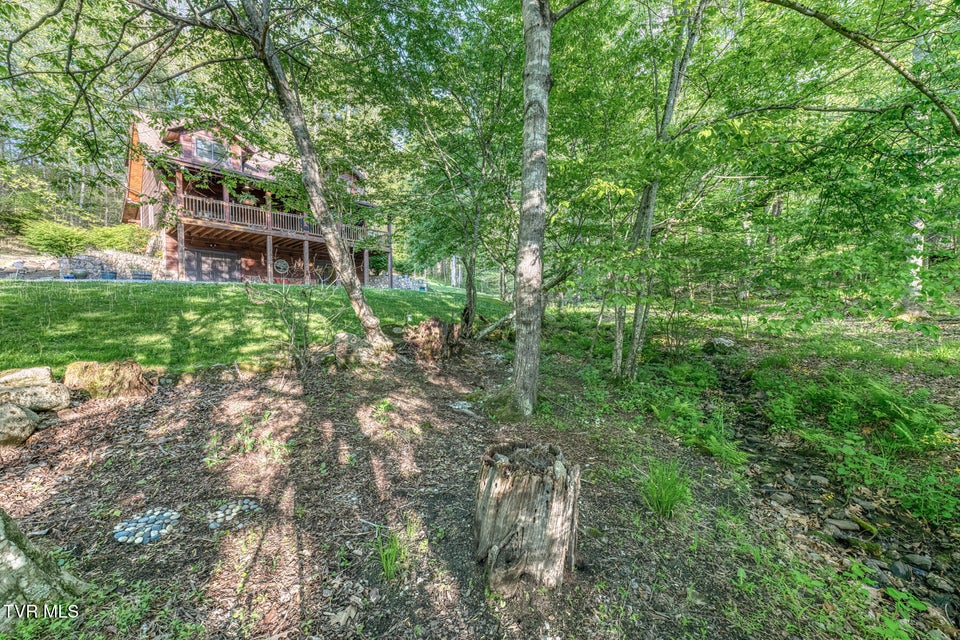 Photo #88: 371 Tiger Creek Road