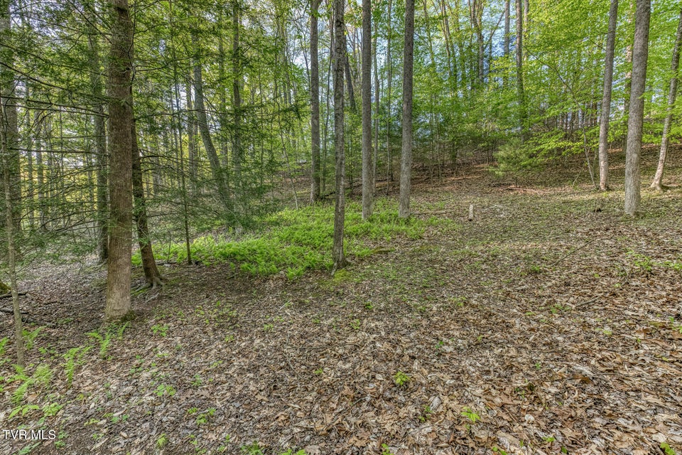 Photo #89: 371 Tiger Creek Road