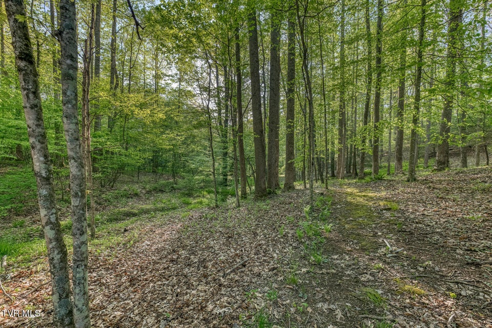 Photo #90: 371 Tiger Creek Road