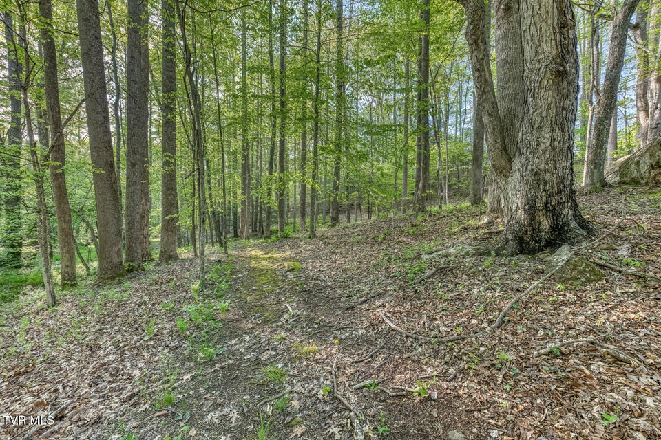 Photo #91: 371 Tiger Creek Road