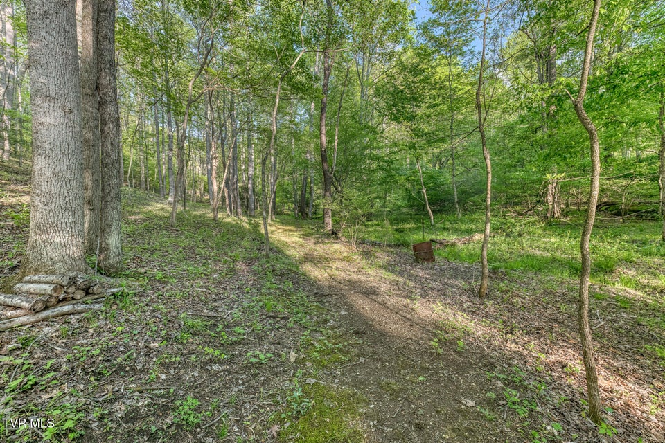 Photo #92: 371 Tiger Creek Road