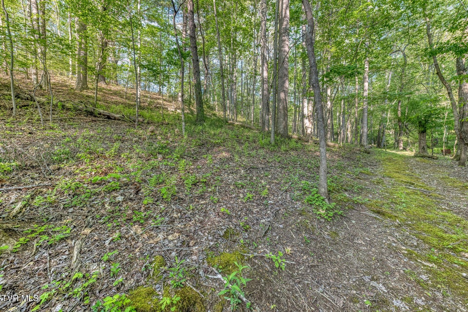 Photo #93: 371 Tiger Creek Road