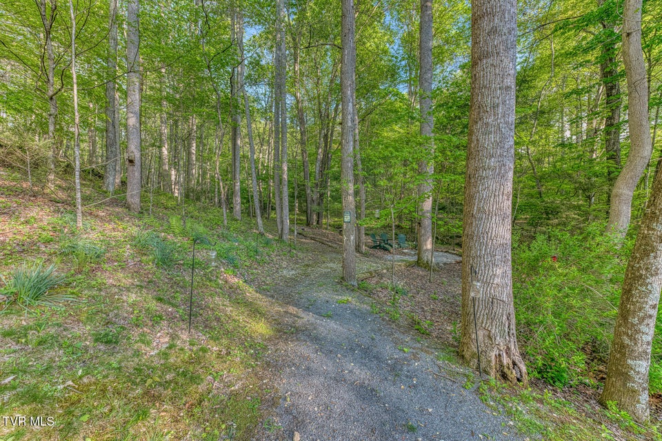 Photo #94: 371 Tiger Creek Road