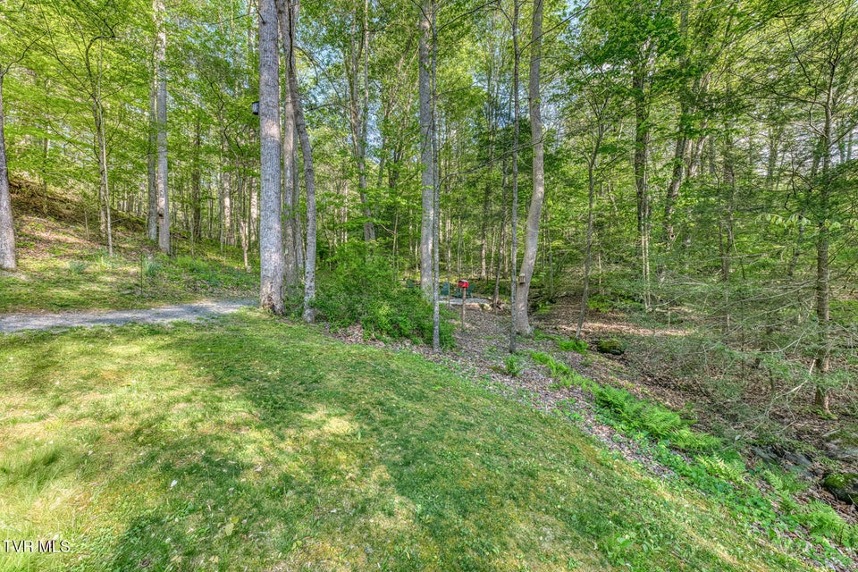 Photo #95: 371 Tiger Creek Road