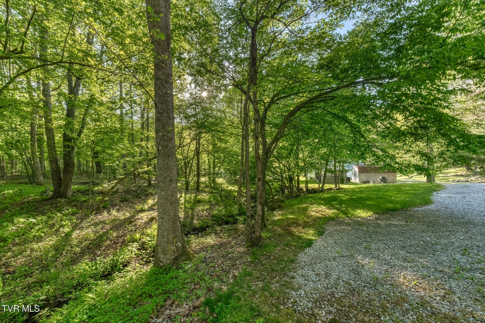 Photo #96: 371 Tiger Creek Road