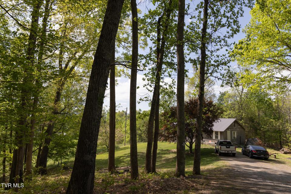 Photo #15: 133 Bob Wright Road