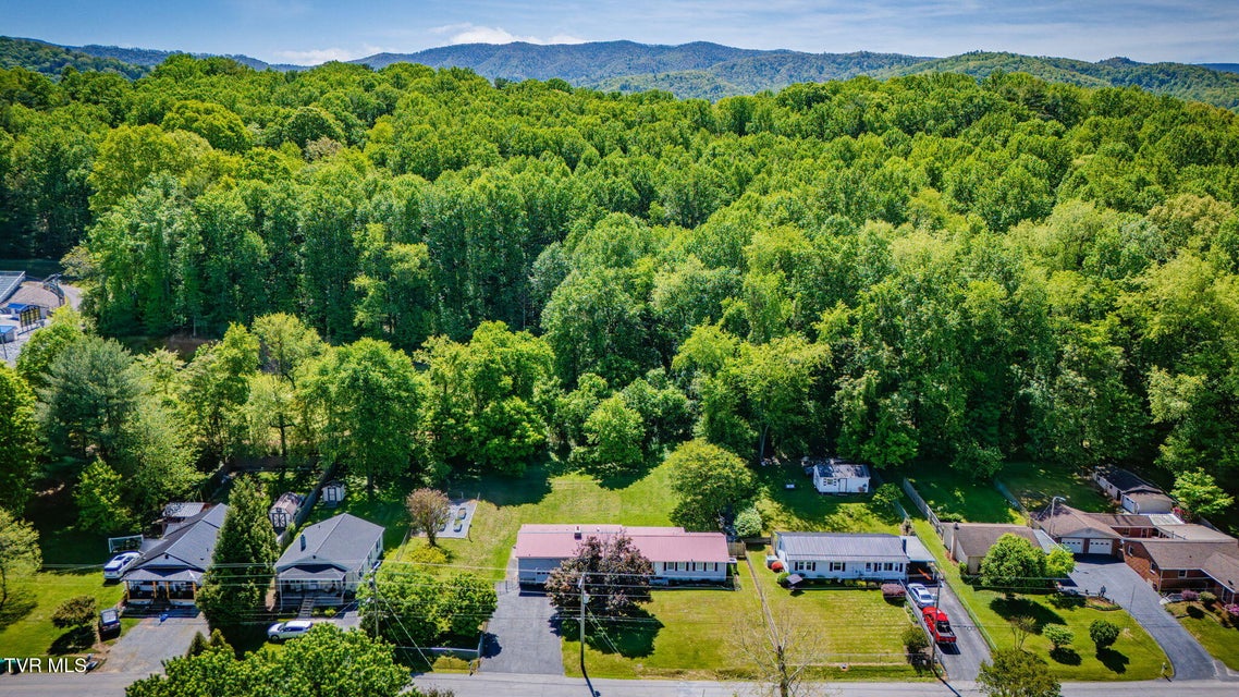 Photo #36: 638 Elm Avenue