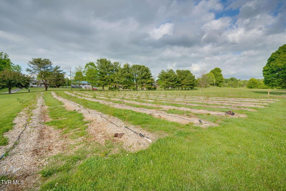 Photo #55: 147 Britton Lane