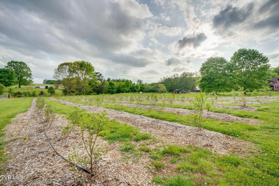 Photo #56: 147 Britton Lane