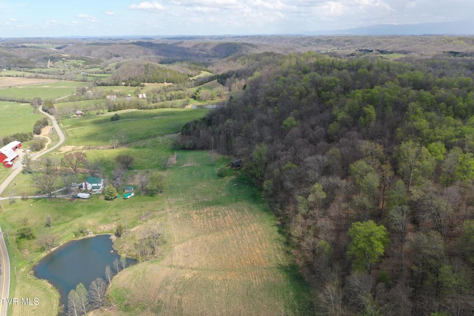 Photo #35: 12315 Warrensburg Road
