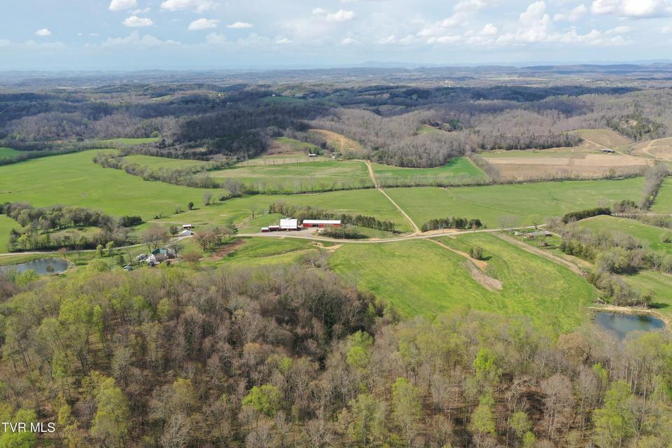 Photo #39: 12315 Warrensburg Road
