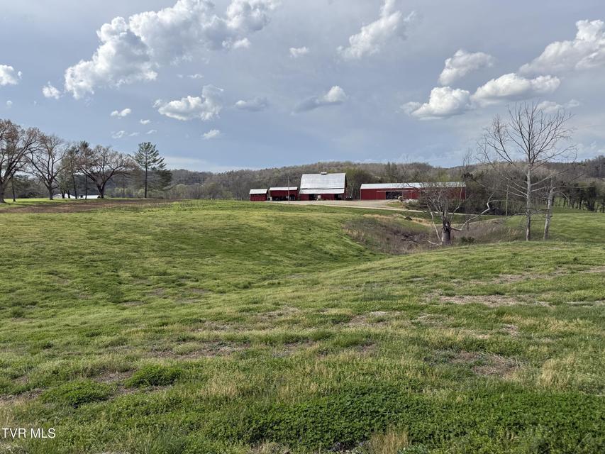 Photo #40: 12315 Warrensburg Road