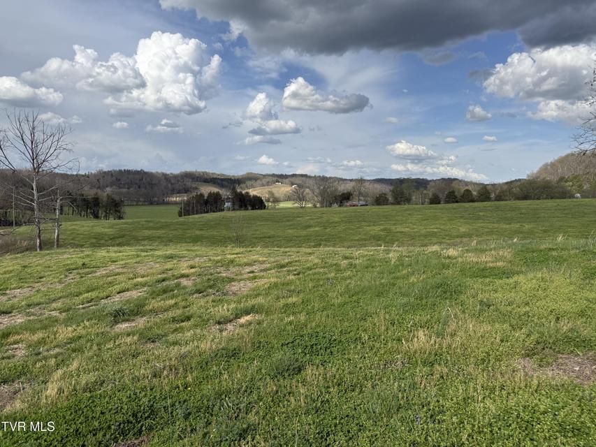 Photo #41: 12315 Warrensburg Road