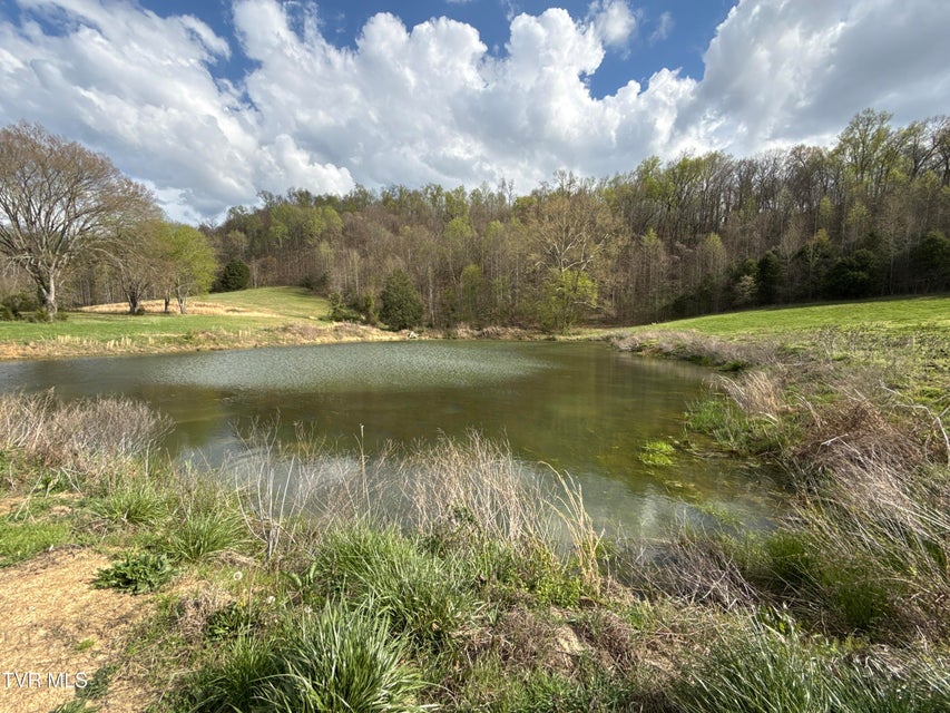 Photo #45: 12315 Warrensburg Road