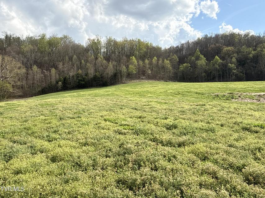 Photo #46: 12315 Warrensburg Road
