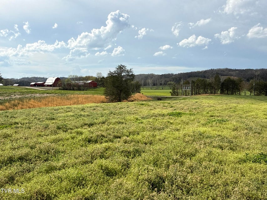 Photo #48: 12315 Warrensburg Road
